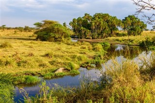 Tanzania