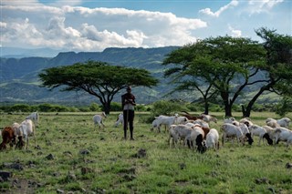 Tanzania