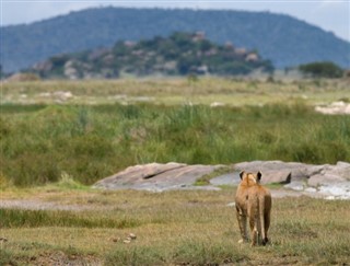 Tanzania