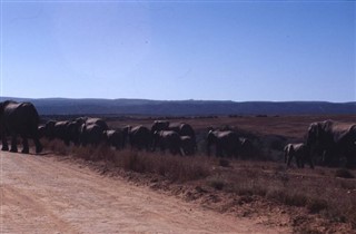 Zambia