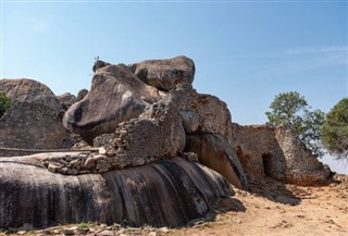 Zambia