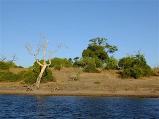 Zambia