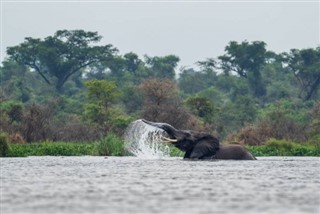 Zambia