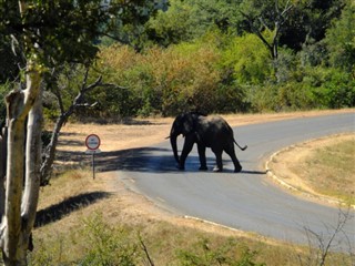 Zimbabwe