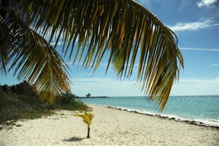 Багамские