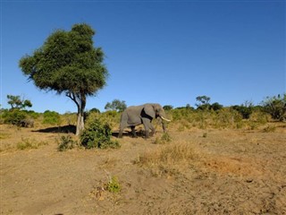 Боцвана