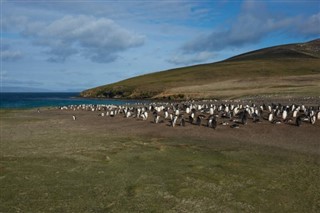Falklandi