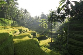 Indonezia