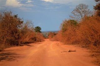 마다가스카르