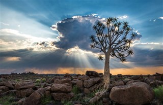 Namiibia