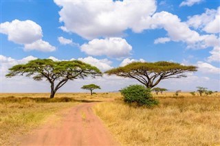 تنزانیہ