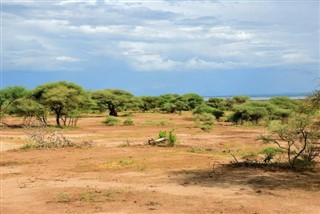Tanzanya