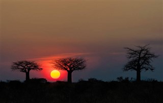 탄자니아